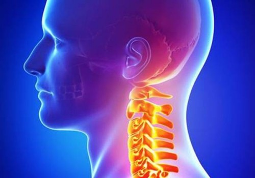 重庆正规代怀：6bc囊胚解冻复苏成功率，一文带你了解有多高