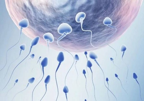 备孕想生女儿的科学方法，准妈妈就要这样健康调理身体