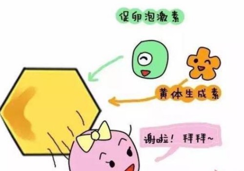 试管婴儿，一种能够改变生命的科学技术